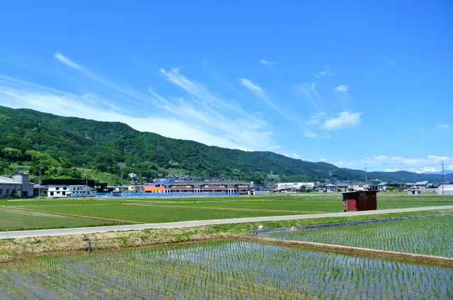 いらない田舎の土地を処分する方法9選｜放置するリスクも解説