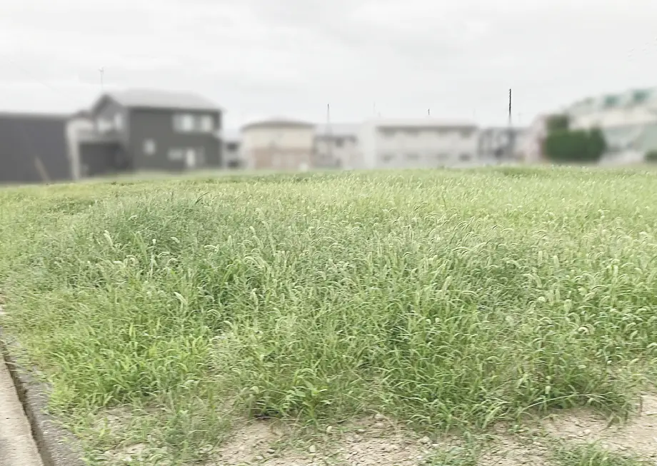 【長岡市今井】買取実績